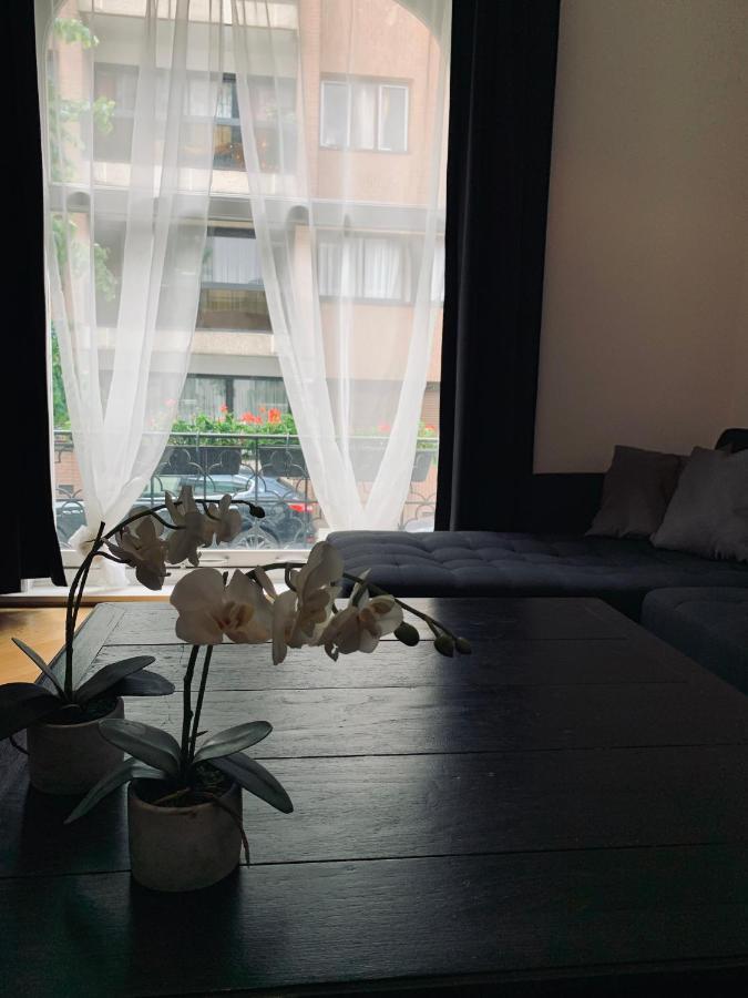 Chic Cocoon Guest House Saint-Gilles Exterior photo